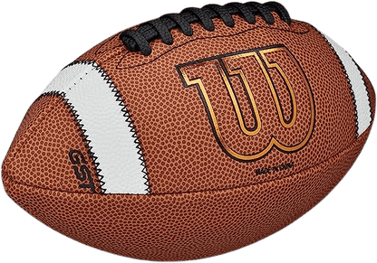 Wilson GST Composite Football