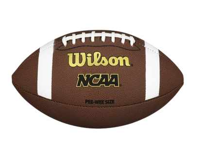 Wilson NCAA Composite Football